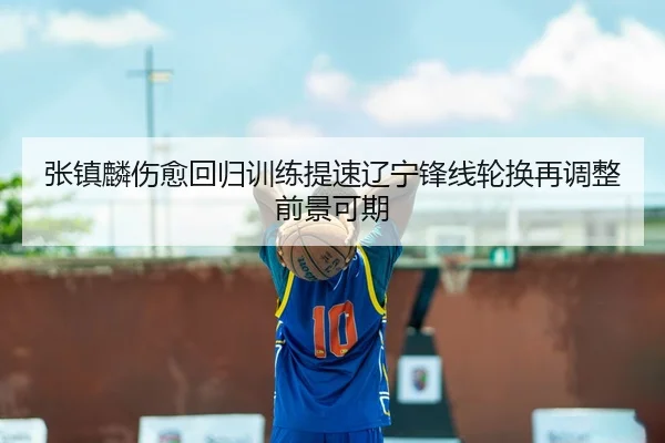 张镇麟伤愈回归训练提速辽宁锋线轮换再调整前景可期 - Kaiyun